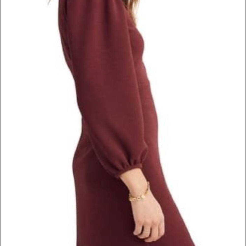 Madewell Balloon Sleeve Dress with Turtleneck - Picture 3 of 9